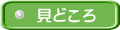 見どころ
