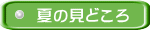 夏の見どころ