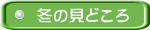 冬の見どころ