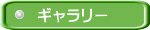 ギャラリー